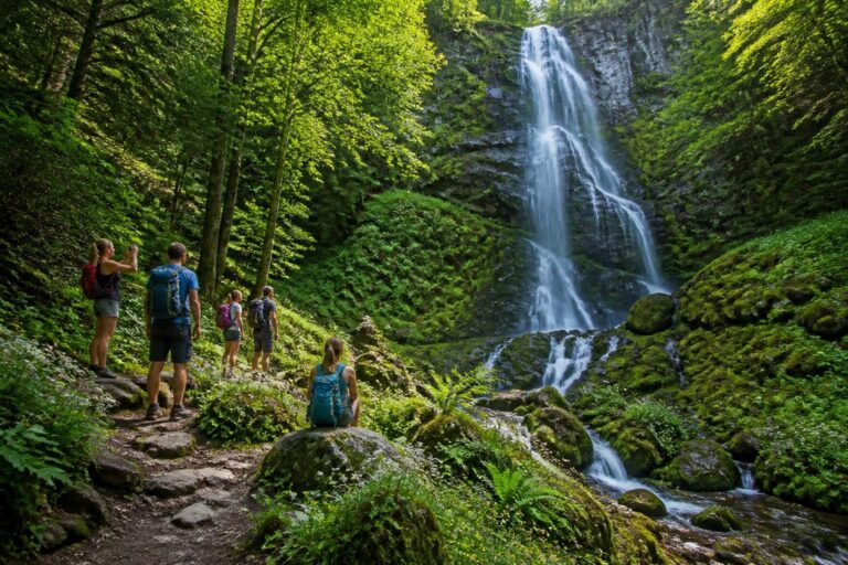 explorez la cascade de la belle au bois et profitez d'une randonnée inoubliable au cœur d'un site naturel préservé, idéal pour les amoureux de la nature et de l'aventure.