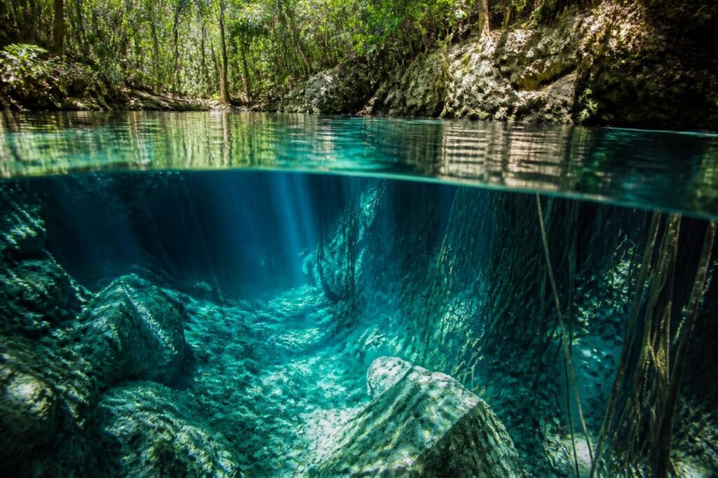 découvrez les photos époustouflantes des cénotes du mexique et plongez au cœur de ces merveilles naturelles uniques, entre eaux cristallines et paysages enchanteurs.