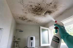 découvrez les causes fréquentes de la moisissure au plafond de votre salle de bain et les solutions efficaces pour l'éliminer durablement et préserver un environnement sain.